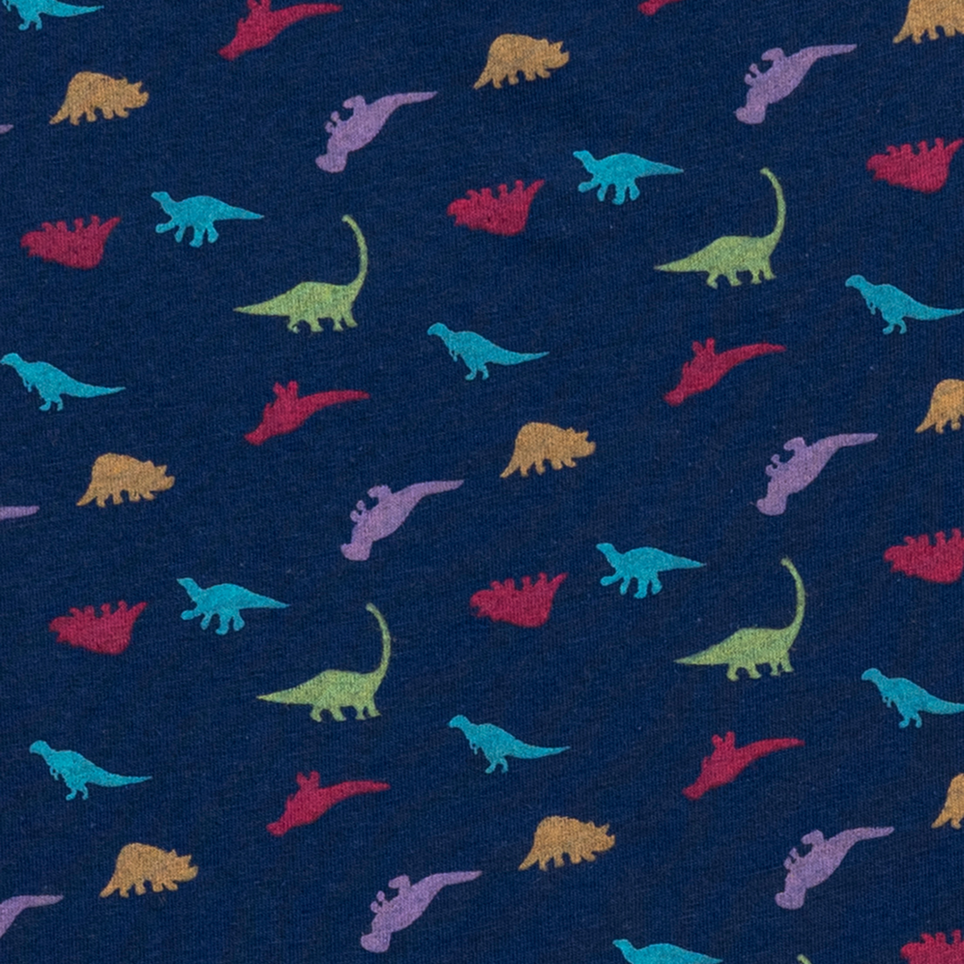 LITTLE DINO PRINTED TEE